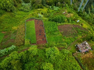 Terreno para Venda em Arco de São Jorge