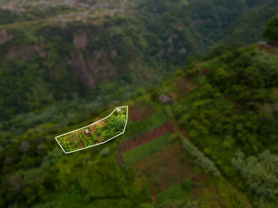Terreno para Venda em Arco de São Jorge Foto 9