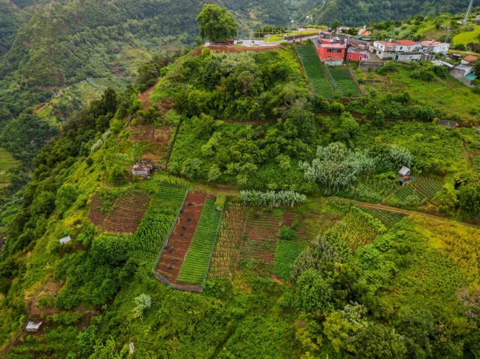 Terreno para Venda em Arco de São Jorge Foto 4