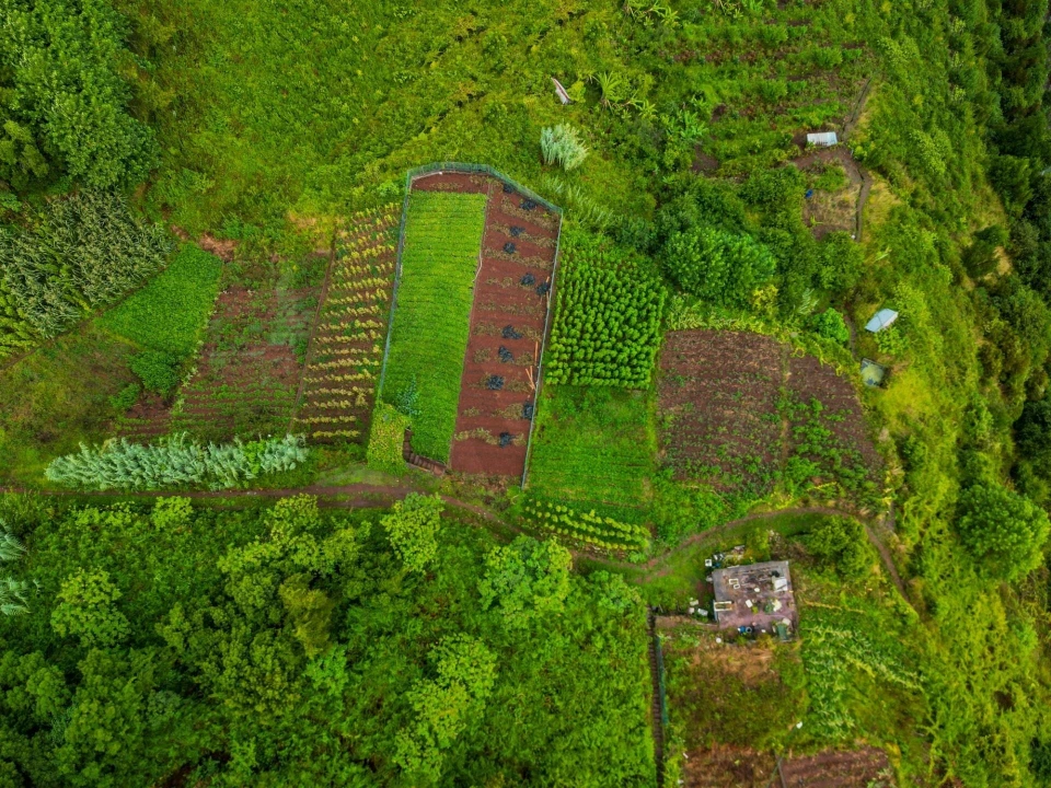 Terreno para Venda em Arco de São Jorge Foto 8