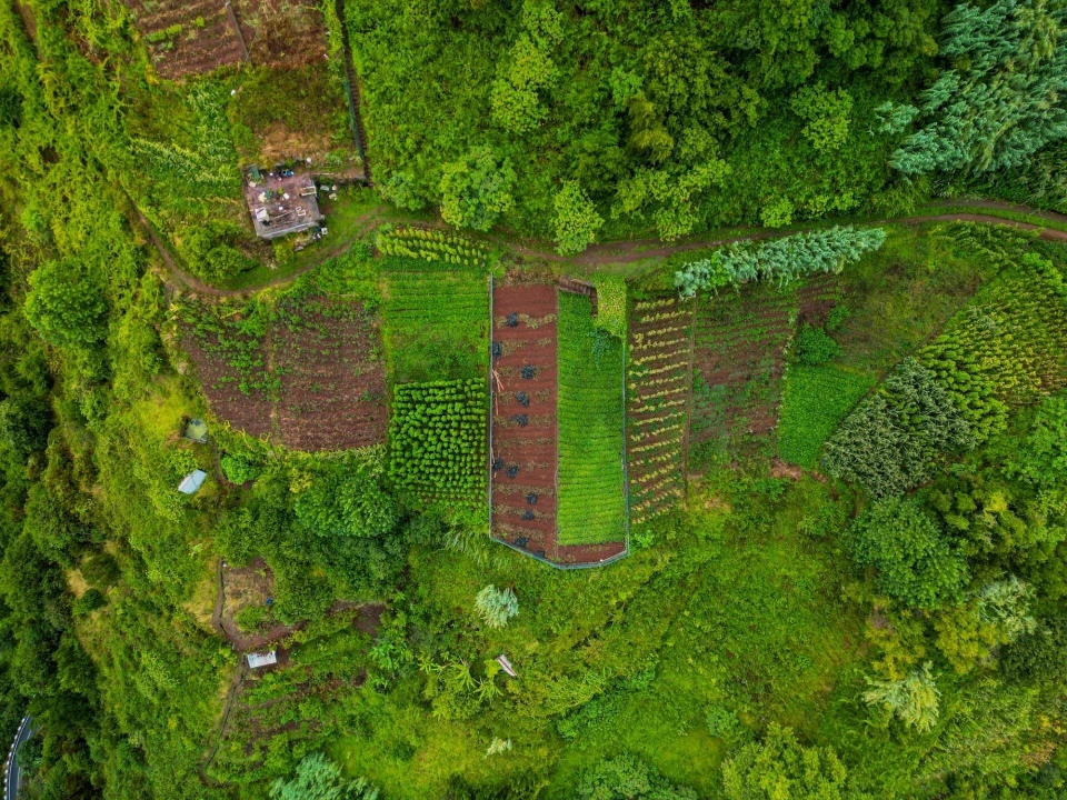 Terreno para Venda em Arco de São Jorge Foto 5