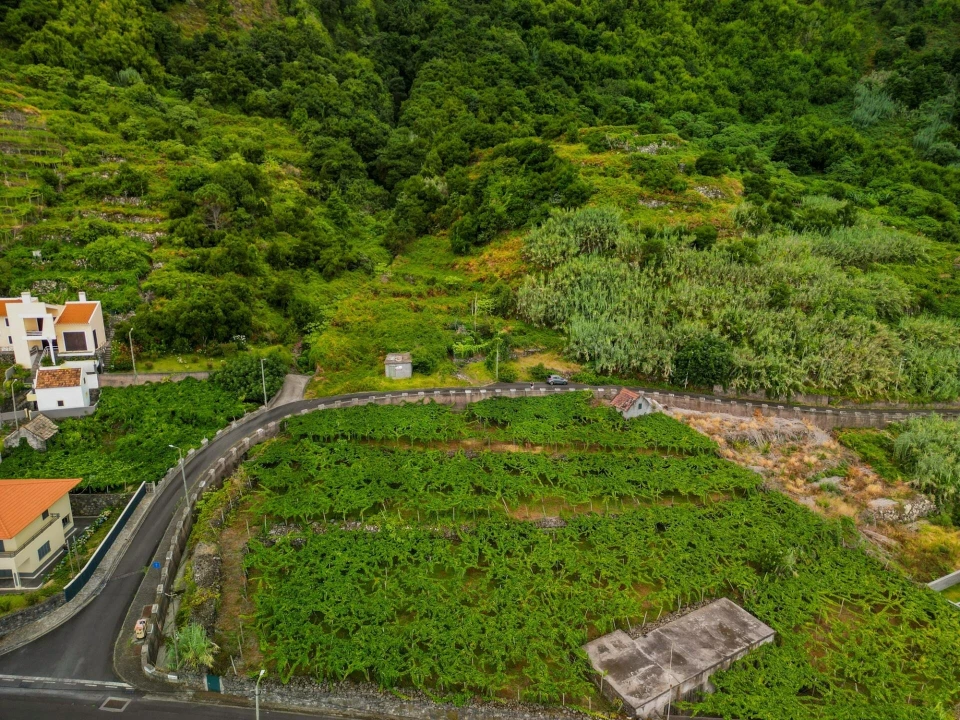 Terreno para Venda em São Vicente Foto 17