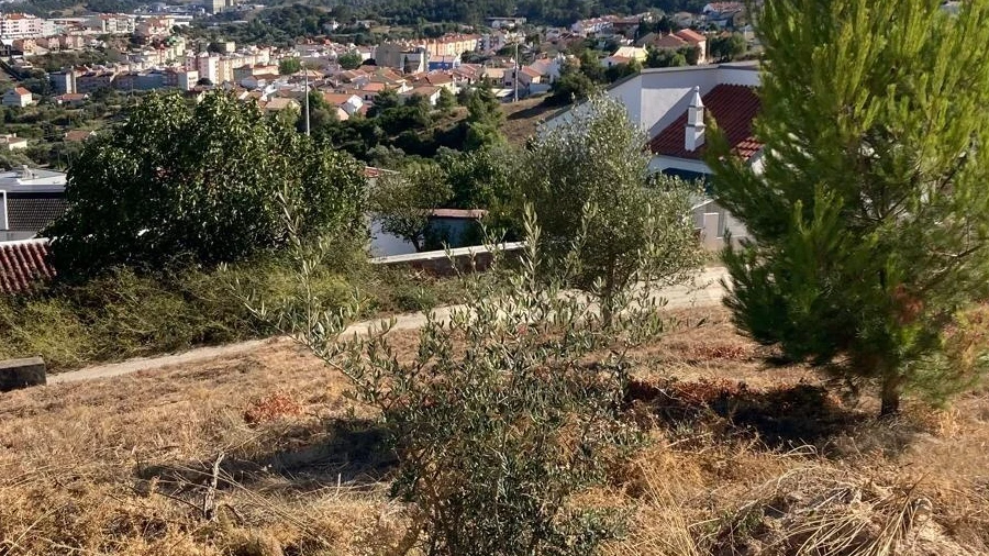 Terreno para Venda em Alverca do Ribatejo e Sobralinho