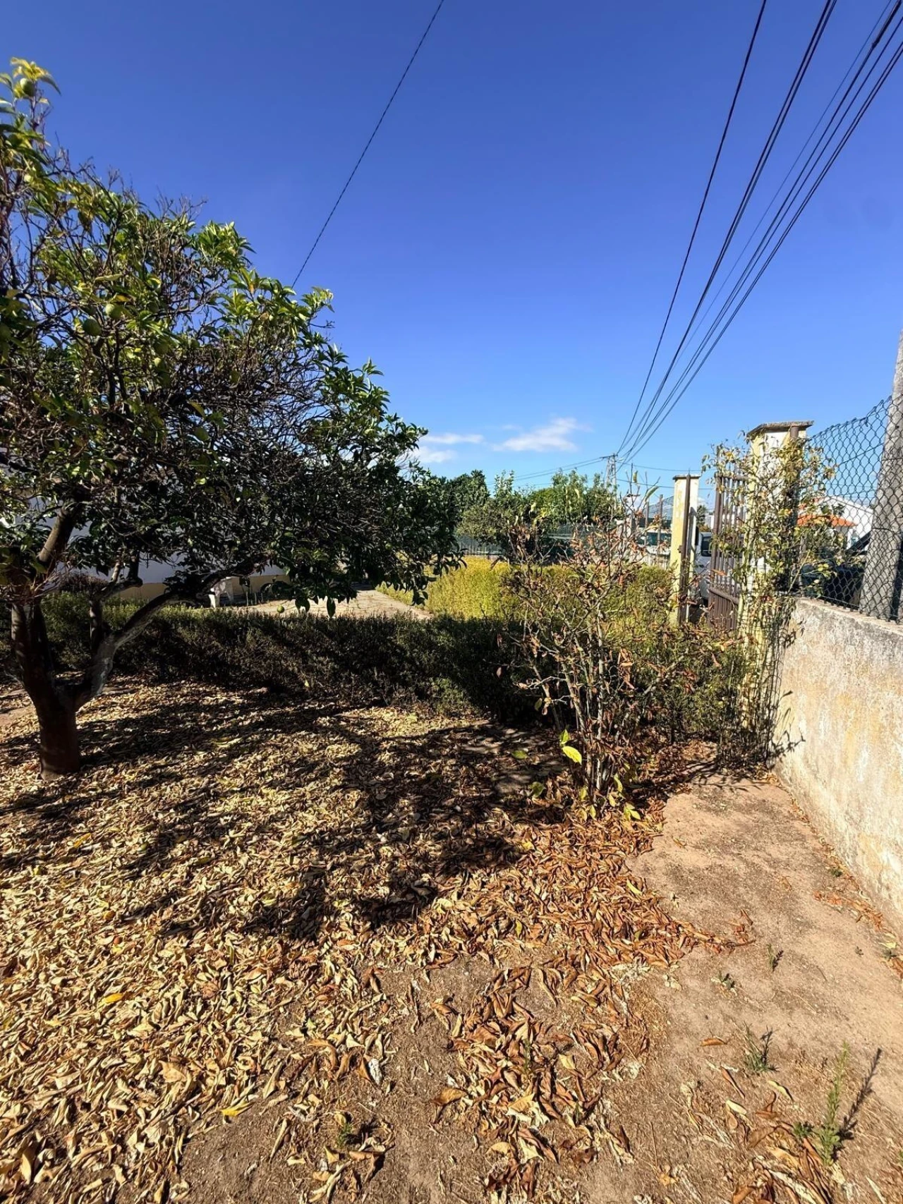 Moradia T3 para Venda em Quinta do Anjo Foto 17