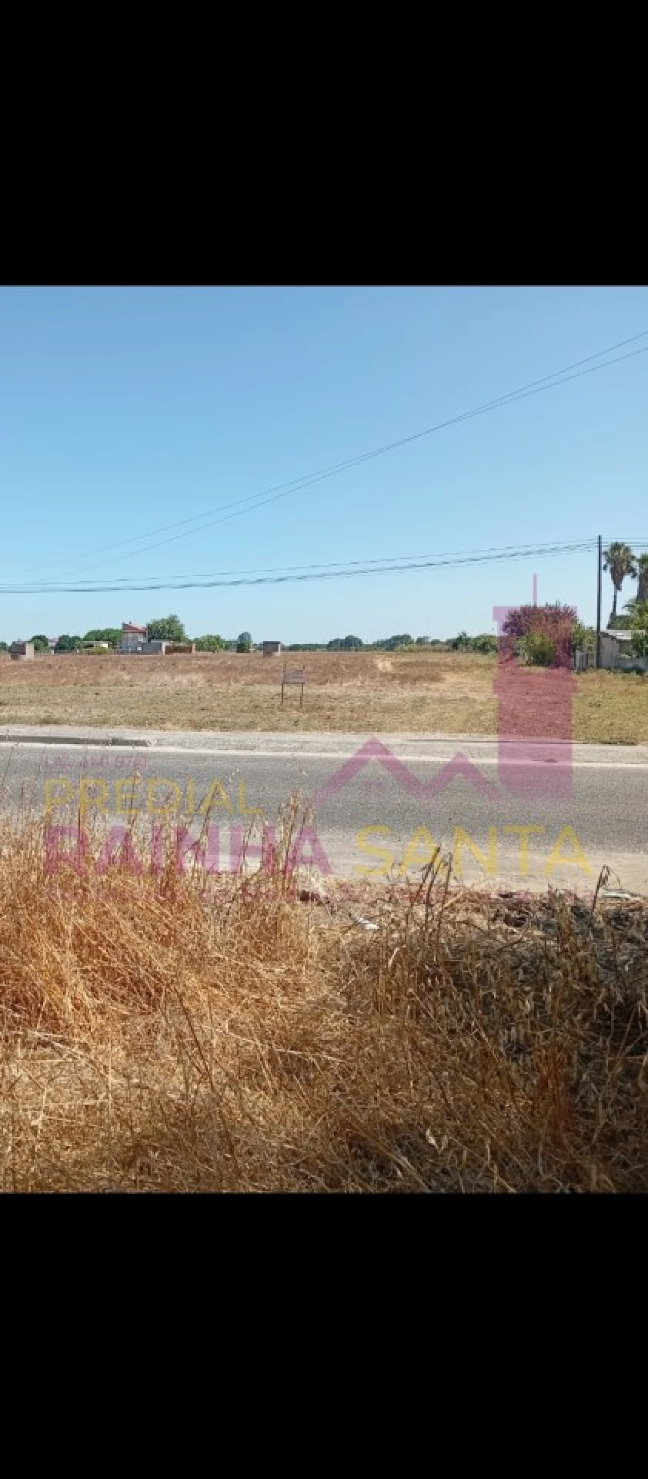 Terreno para Venda em Alpiarça Foto 2