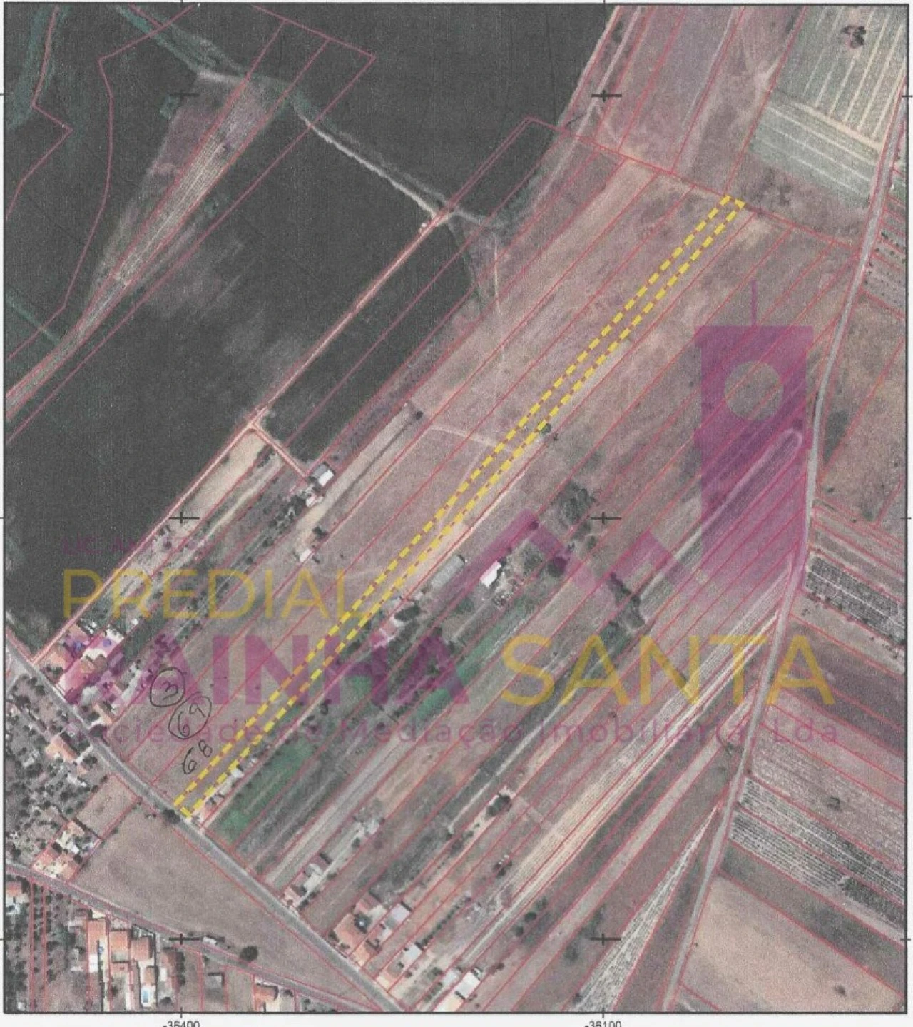 Terreno para Venda em Alpiarça Foto 3