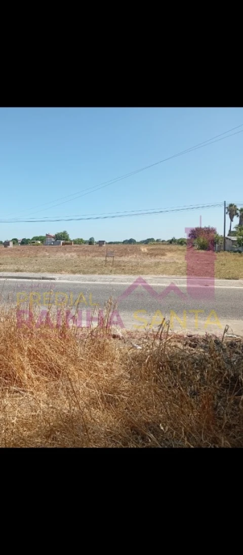 Terreno para Venda em Alpiarça