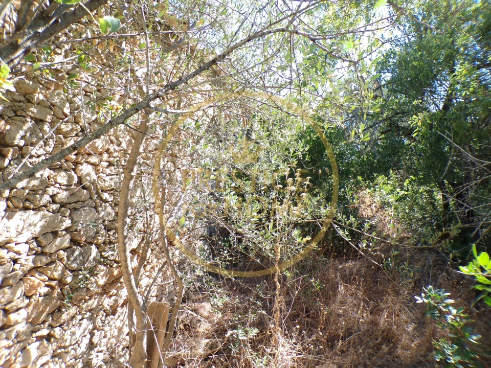 Terreno para Venda em Loule (São Sebastião) Foto 17