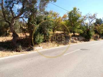 Terreno para Venda em Loule (São Sebastião)
