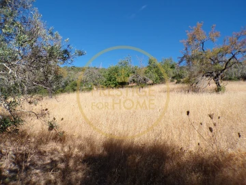 Terreno para Venda em Loule (São Sebastião)