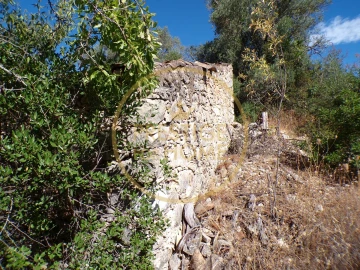 Terreno para Venda em Loule (São Sebastião)