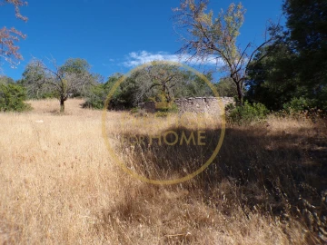 Terreno para Venda em Loule (São Sebastião)