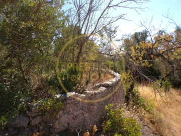 Terreno para Venda em Loule (São Sebastião)