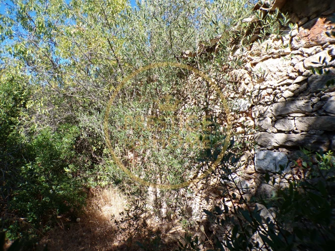 Terreno para Venda em Loule (São Sebastião) Foto 16