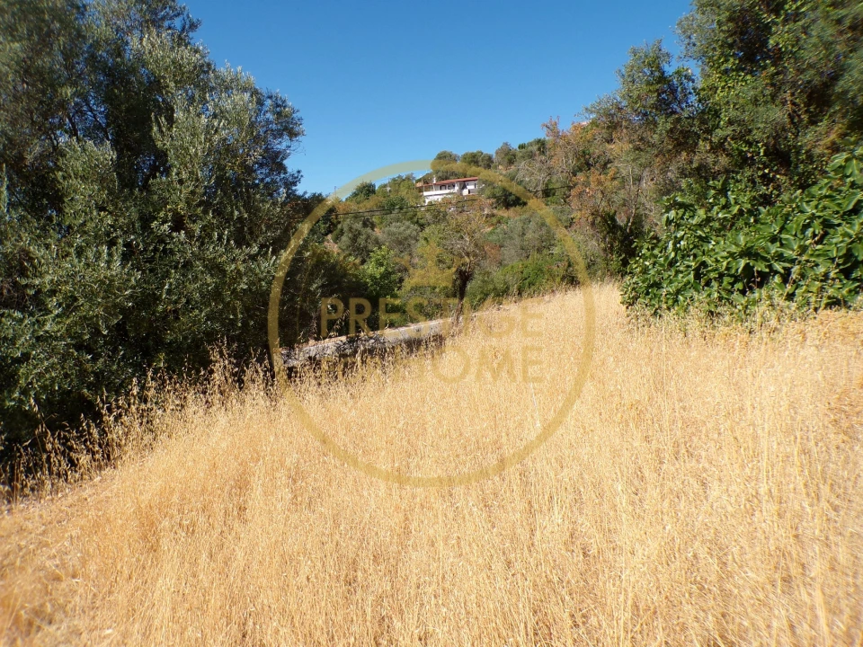 Terreno para Venda em Loule (São Sebastião) Foto 15