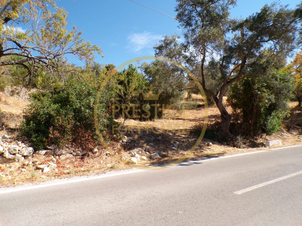 Terreno para Venda em Loule (São Sebastião) Foto 4