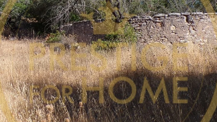 Terreno para Venda em Loule (São Sebastião)