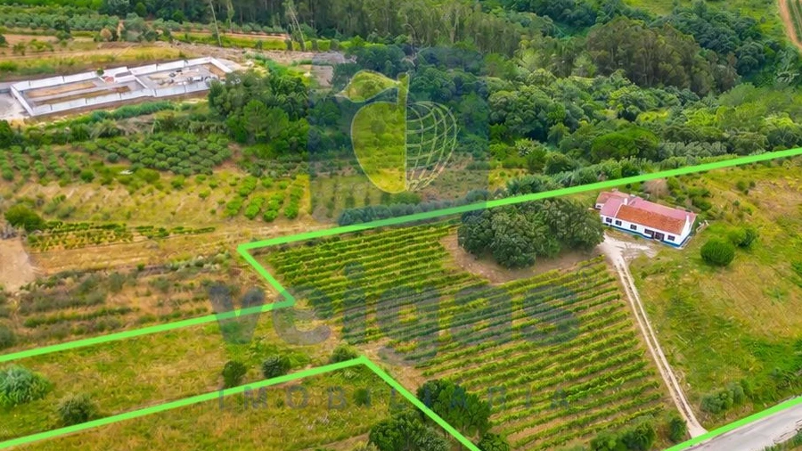 Moradia T3 para Venda em A dos Negros