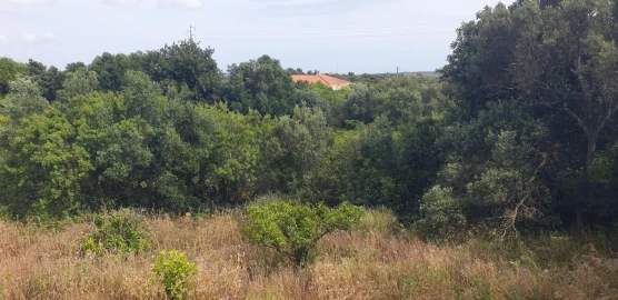 Quinta T1 para Venda em Silves