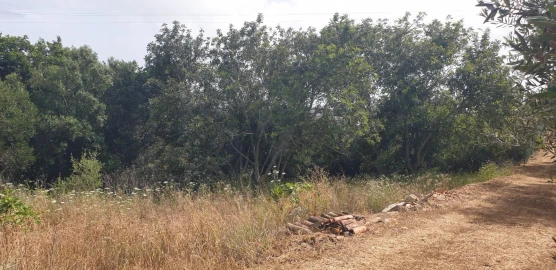 Quinta T1 para Venda em Silves