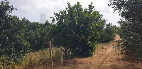 Quinta T1 para Venda em Silves