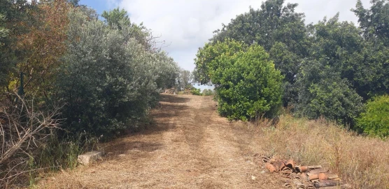 Quinta T1 para Venda em Silves