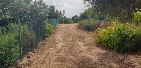 Quinta T1 para Venda em Silves