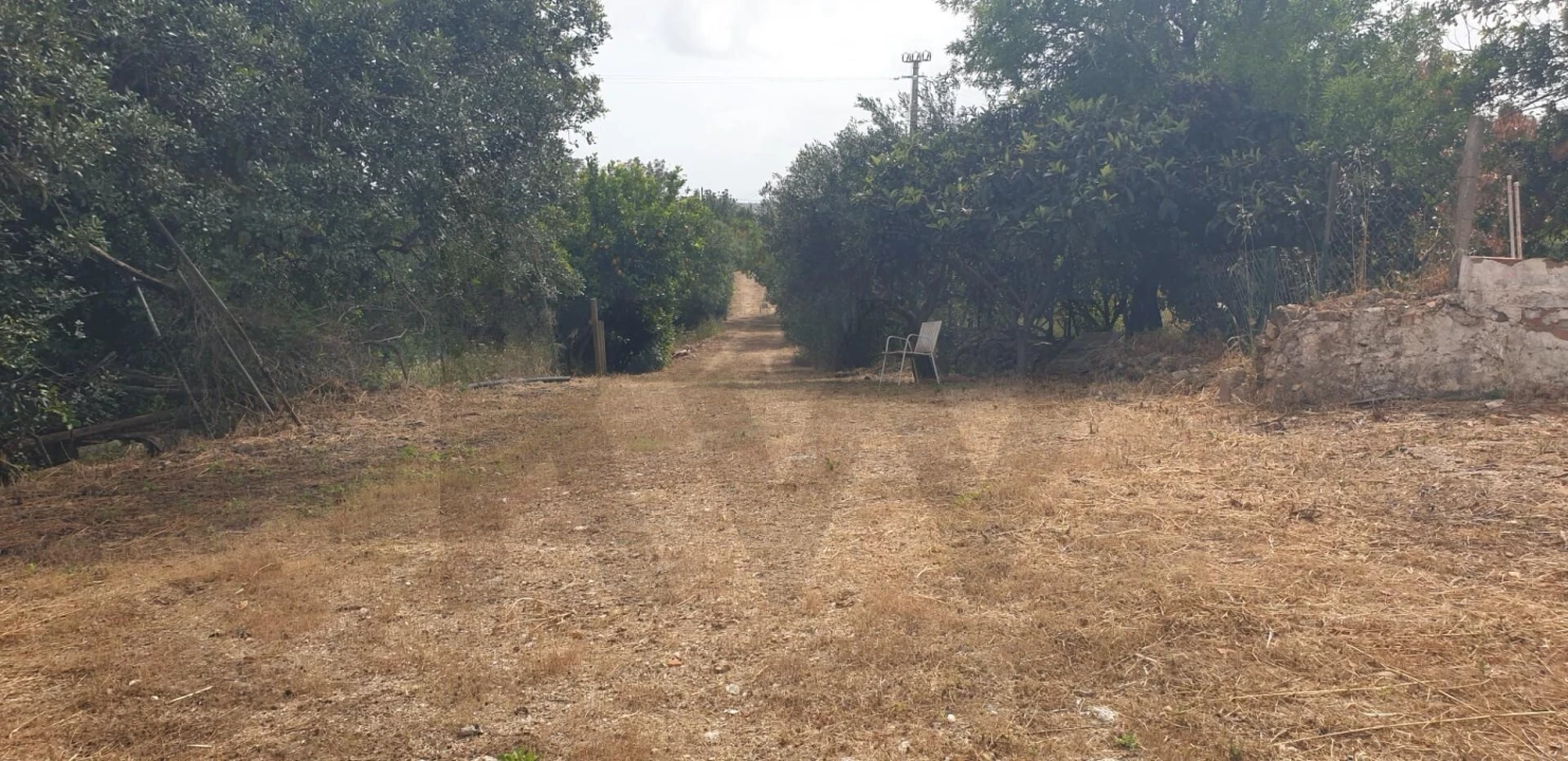 Quinta T1 para Venda em Silves Foto 6