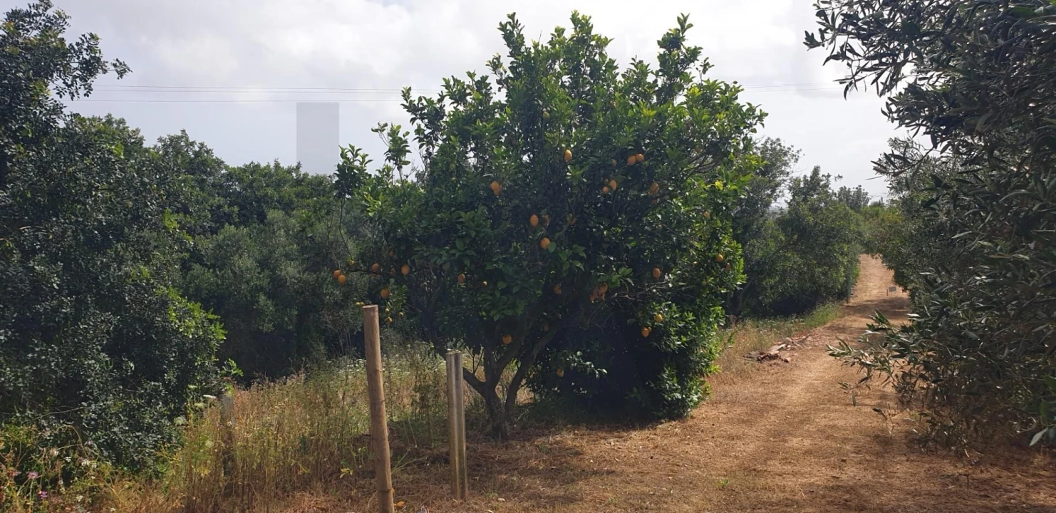 Quinta T1 para Venda em Silves Foto 3