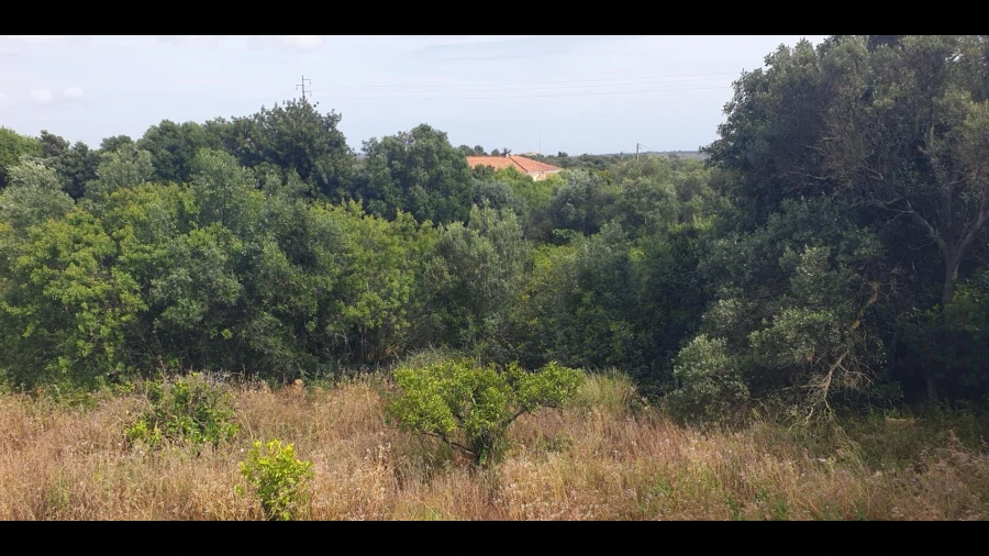 Quinta T1 para Venda em Silves