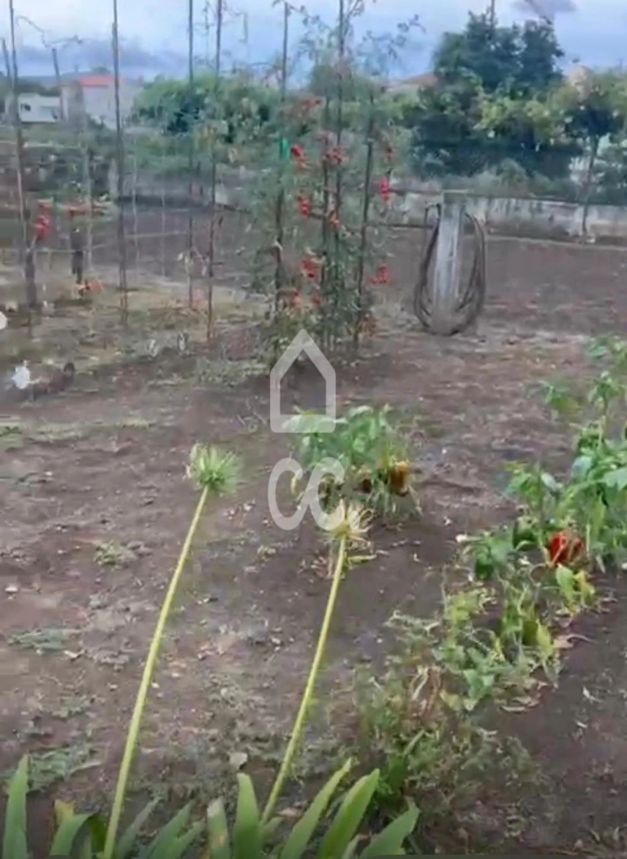 Moradia T4 para Venda em Santa Marta de Portuzelo Foto 33