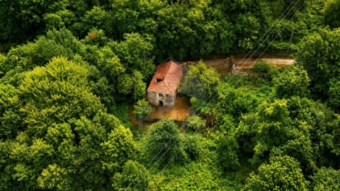 Moradia T2 para Venda em Reboreda e Nogueira