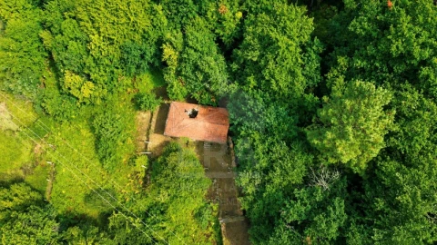 Moradia T2 para Venda em Reboreda e Nogueira