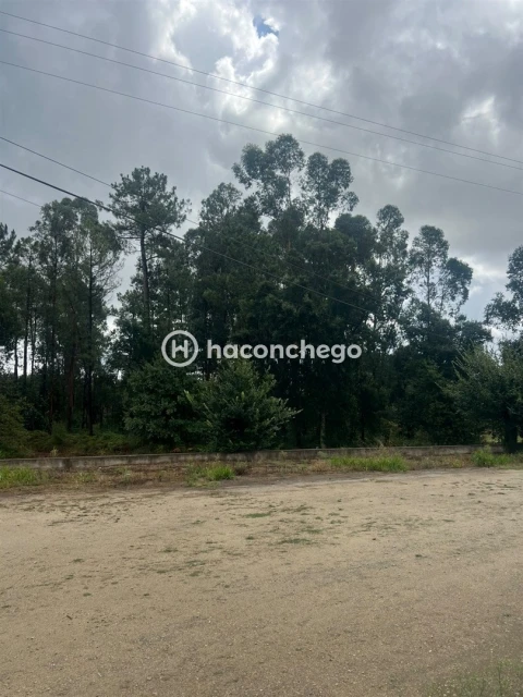 Apartamento T2 para Arrendamento em Oliveira