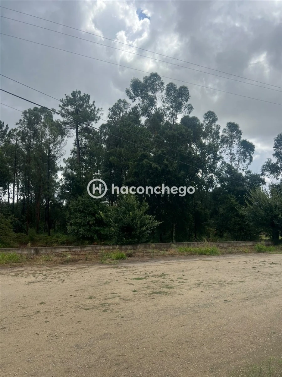 Apartamento T2 para Arrendamento em Oliveira Foto 25