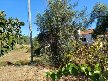 Moradia T5 para Venda em Madalena e Beselga
