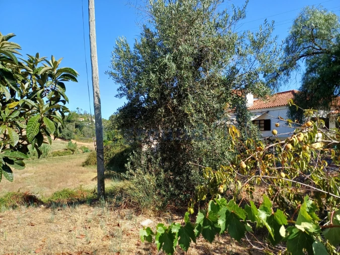 Moradia T5 para Venda em Madalena e Beselga Foto 32