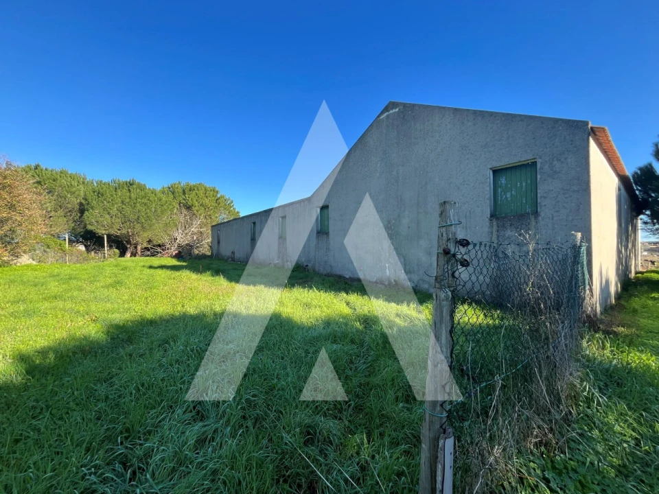 Moradia T4 para Venda em Lamas e Cercal Foto 40