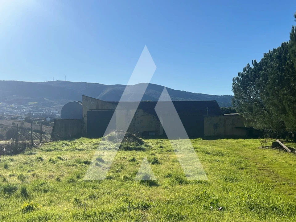 Moradia T4 para Venda em Lamas e Cercal Foto 41