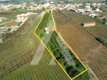 Moradia T4 para Venda em Lamas e Cercal