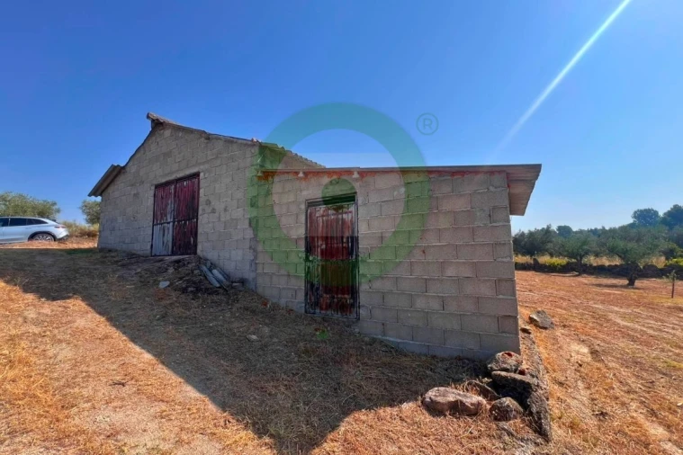 Terreno para Venda em Valpaços e Sanfins Foto 4