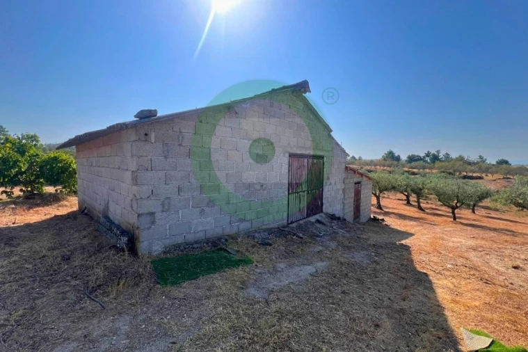 Terreno para Venda em Valpaços e Sanfins Foto 3