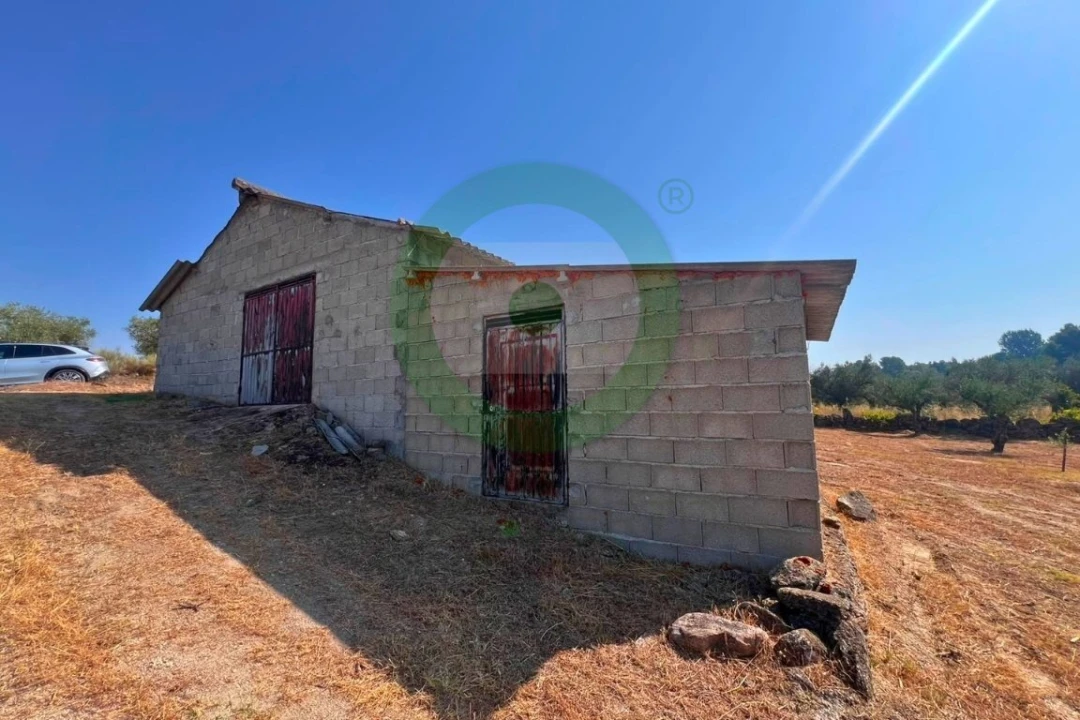 Terreno para Venda em Valpaços e Sanfins Foto 4