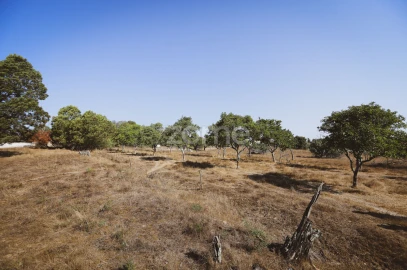 Quinta T7 para Venda em Carapinheira