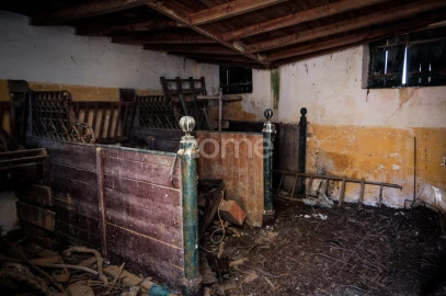 Quinta T7 para Venda em Carapinheira