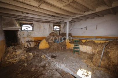 Quinta T7 para Venda em Carapinheira