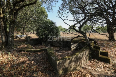 Quinta T7 para Venda em Carapinheira