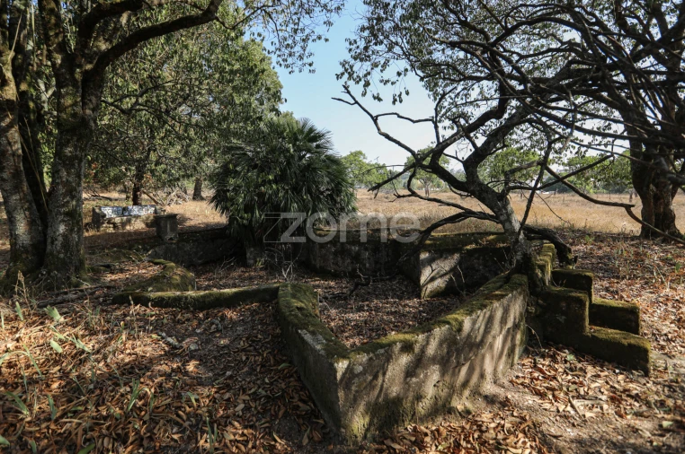 Quinta T7 para Venda em Carapinheira Foto 32