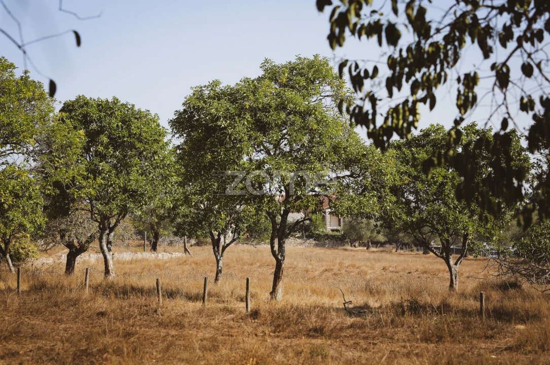 Quinta T7 para Venda em Carapinheira Foto 34