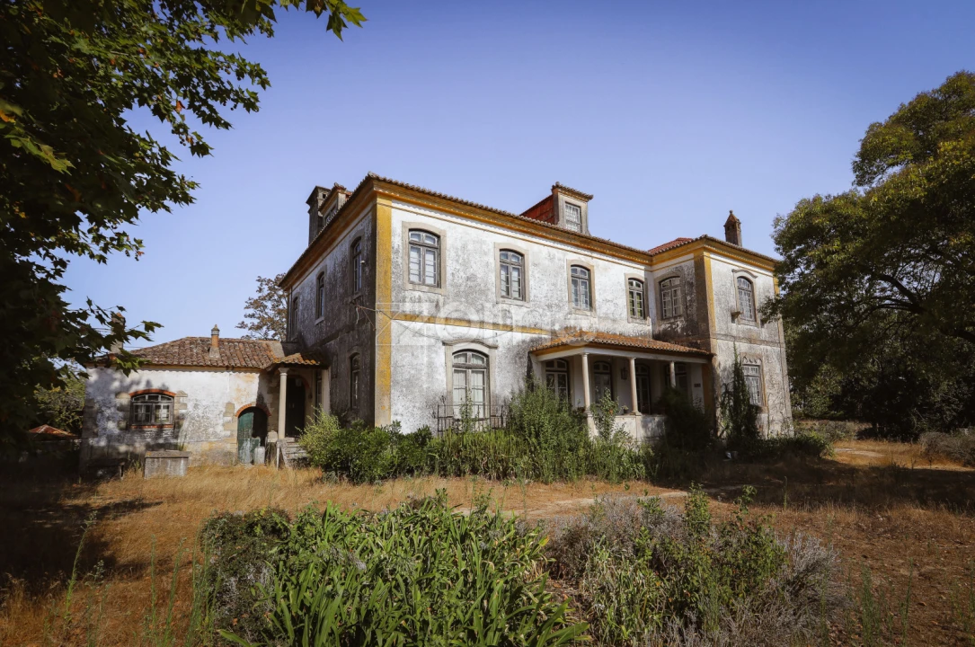 Quinta T7 para Venda em Carapinheira Foto 1